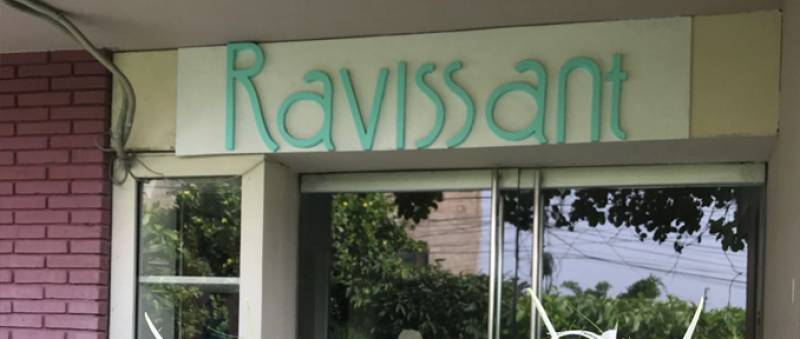Ravissant Salon: Where Design And Philosophy Work Hand in Hand