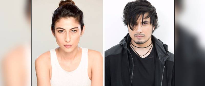 Meesha Shafi Fails To File A Response In Light Of Ali Zafar's Defamation Charges