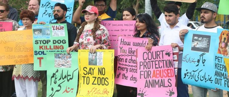 Animal Rights Activists Stood Up For A Very Important Cause In Islamabad