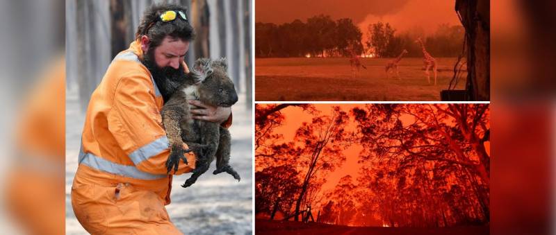 Australia's Bush Fires: A Tragic And Terrifying Tragedy