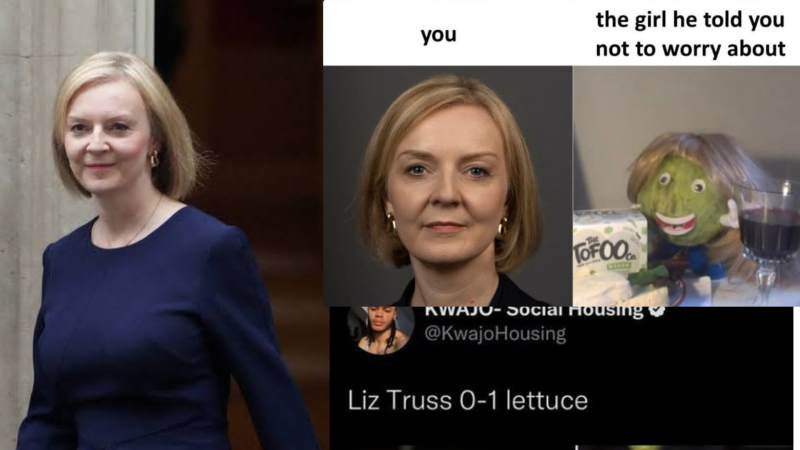 Liz Truss Fought the Lettuce, and the Lettuce Won