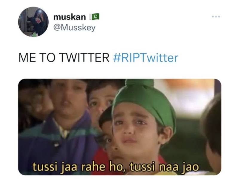 Twitter Is Living for These Dying-Twitter Memes