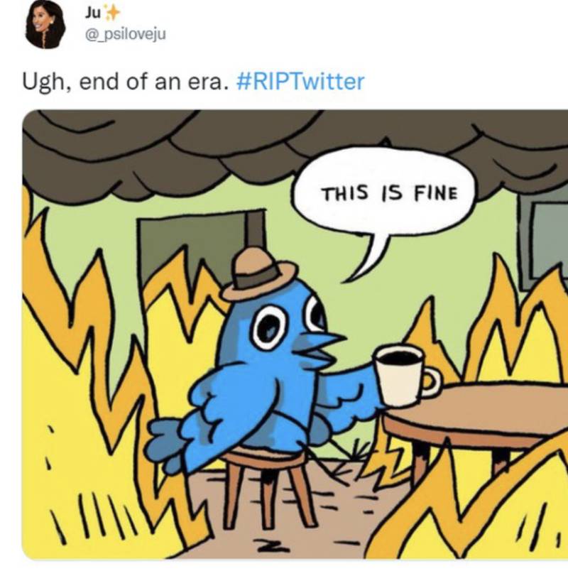 Twitter Is Living for These Dying-Twitter Memes