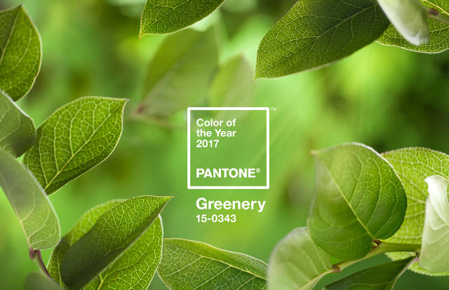 3066350-inline-14-pantone-announces-the-2017-color-of-the-year-greenery